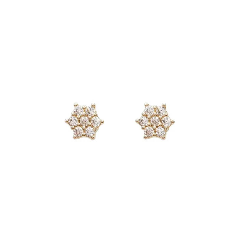 Handcrafted Resin Earrings-Zirconia Flower Earrings (14K)